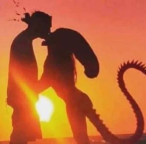 Meet your Posher, Dawna